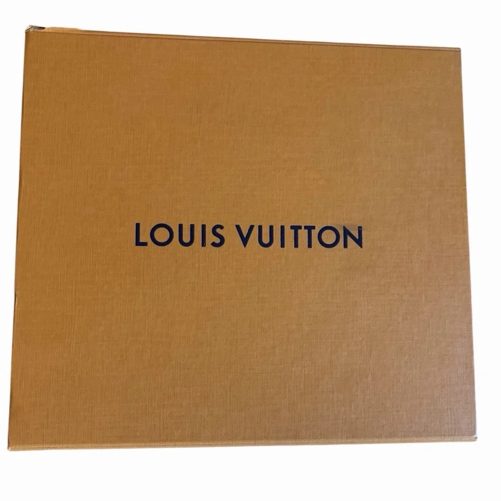 LOUIS VUITTON & Chanel empty Box Shopping Bags LV, Longchamps, Dior, Coach
